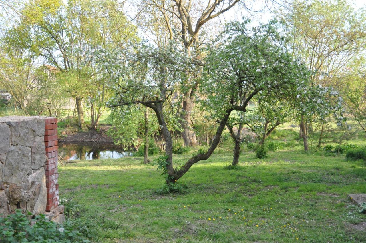 Ferienhaus Caselow 23 Bergholz Εξωτερικό φωτογραφία