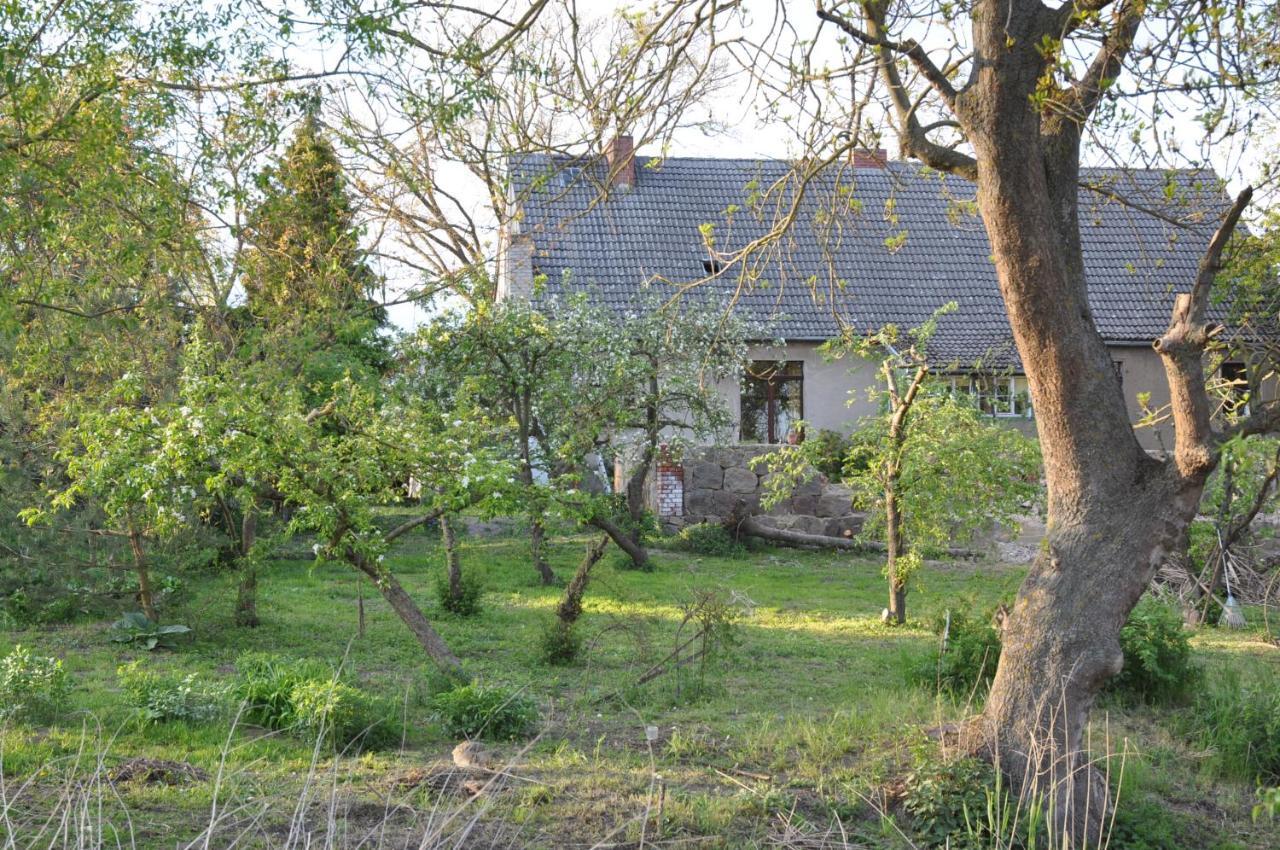 Ferienhaus Caselow 23 Bergholz Εξωτερικό φωτογραφία